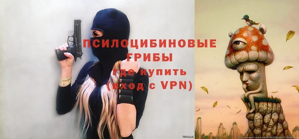 дурь Бронницы
