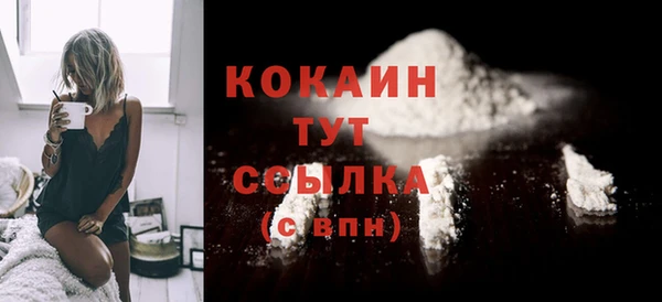 дурь Бронницы