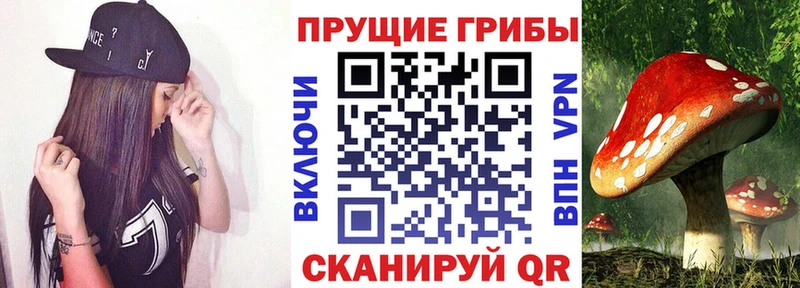 даркнет сайт  ссылка на мегу ССЫЛКА  Галлюциногенные грибы прущие грибы  Гаврилов-Ям 